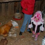 Sarayah and the Chicken